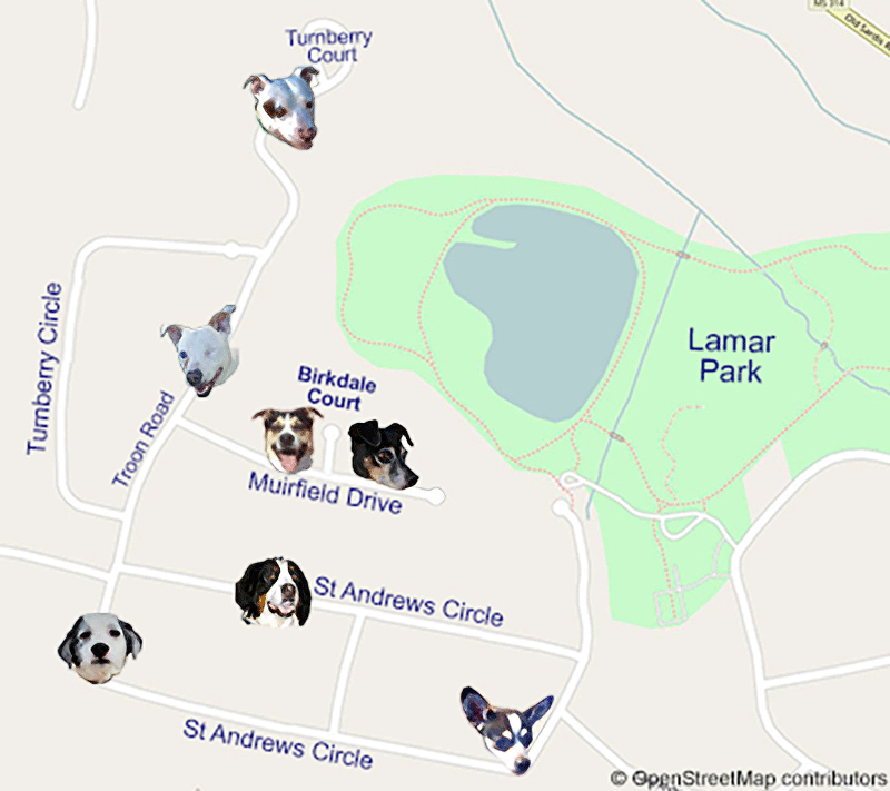 Neighborhood map with dogs' faces as place markers